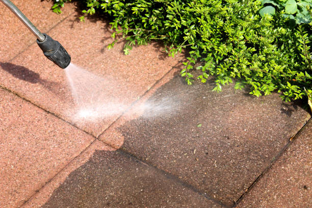 Best Exterior Home Cleaning  in Aldan, PA